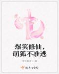 爆笑修仙,萌狐不准逃 爆笑修仙,萌狐不准逃