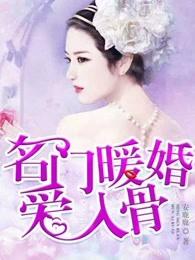 名门暖婚爱入骨 名门暖婚爱入骨