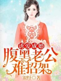 诱爱成婚,腹黑老公难招架 诱爱成婚,腹黑老公难招架