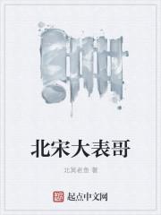 北宋大表哥 北宋大表哥