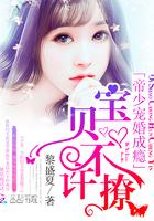 帝少宠婚成瘾:宝贝,不许撩 帝少宠婚成瘾:宝贝,不许撩